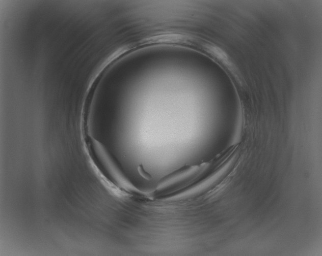 X0000073991426200608211336