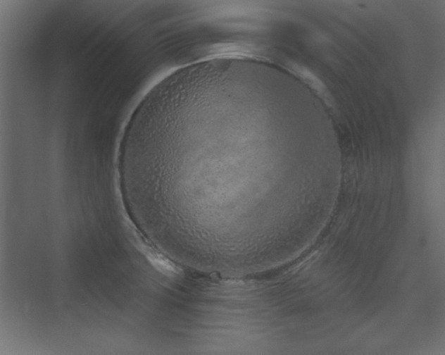 X0000073991427200608211336