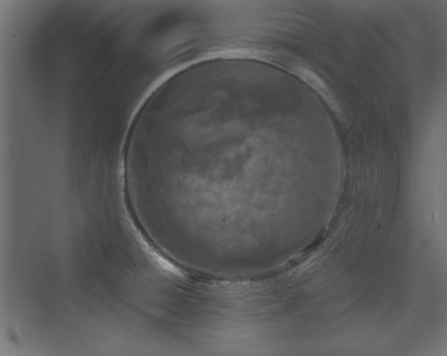 X0000073991428200608211336