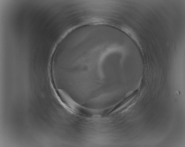 X0000073991429200608211336