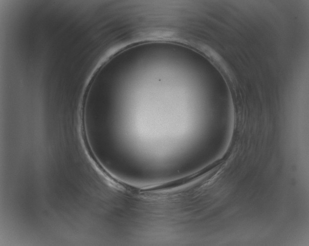 X0000073991432200608211336