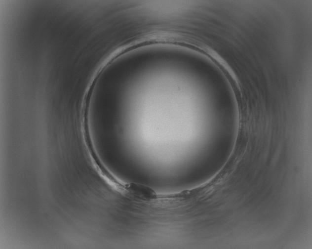 X0000073991437200608211336