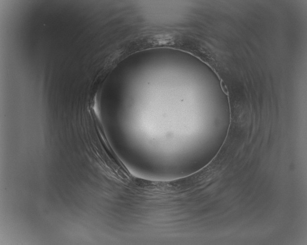 X0000073991442200608211336