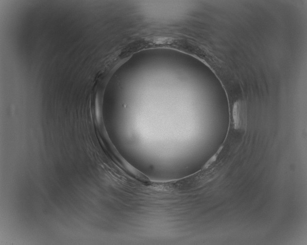 X0000073991443200608211336