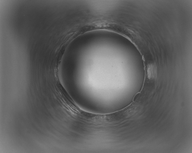 X0000073991444200608211336