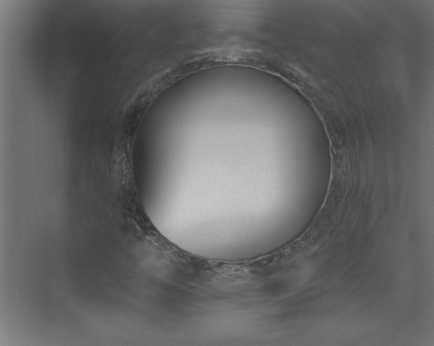 X0000073991446200608211336