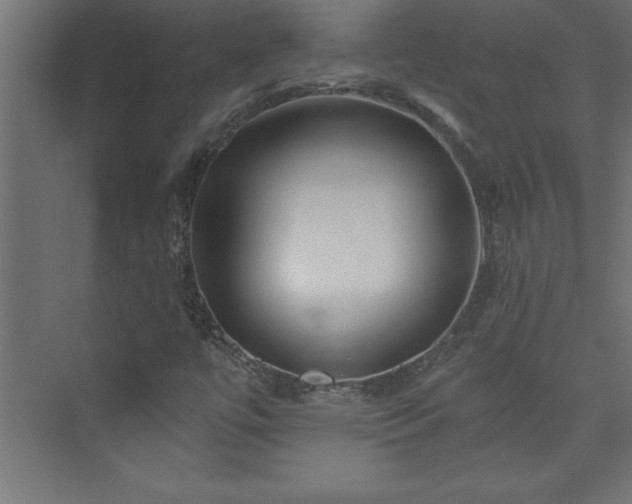 X0000073991447200608211336