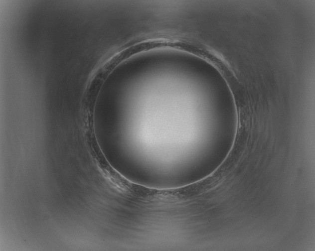 X0000073991448200608211335