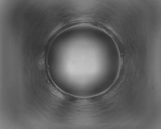 X0000073991450200608211335