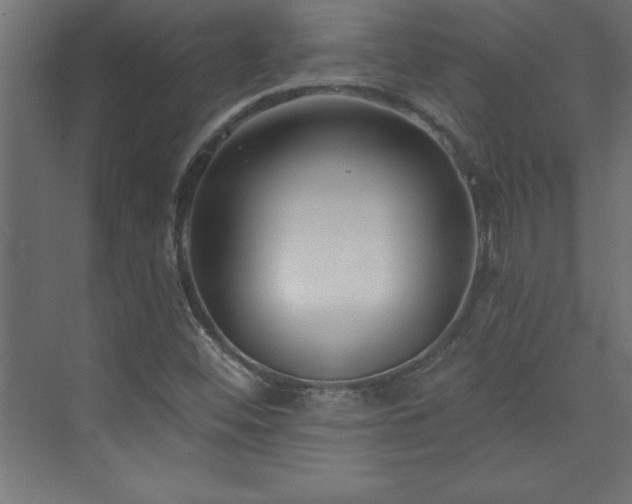 X0000073991452200608211335