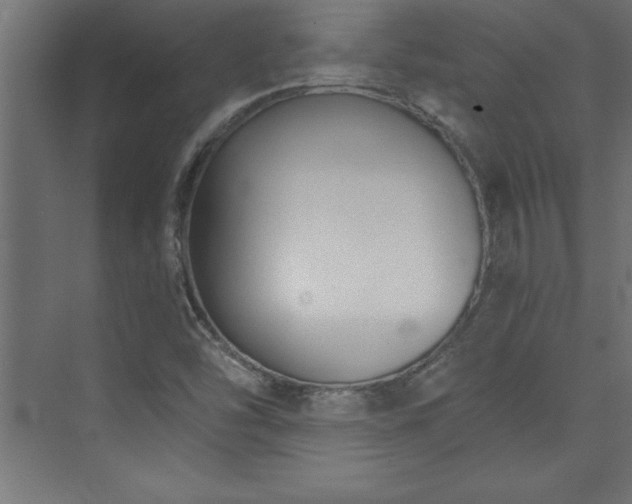 X0000073991454200608211335