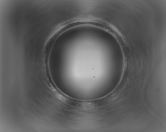 X0000073991456200608211335