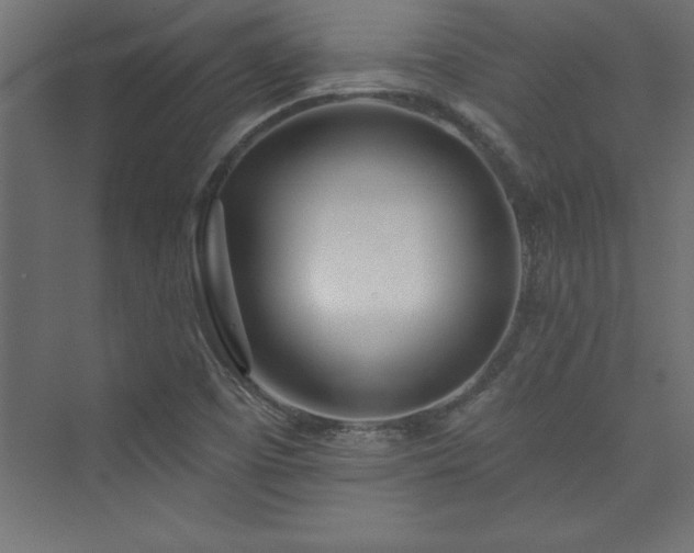 X0000073991457200608211335