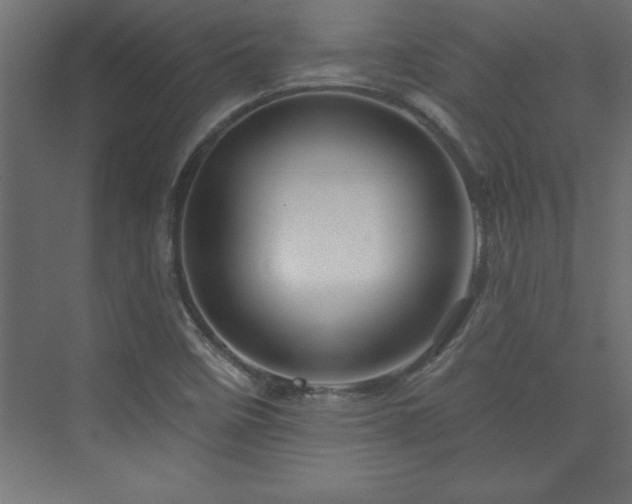 X0000073991458200608211335