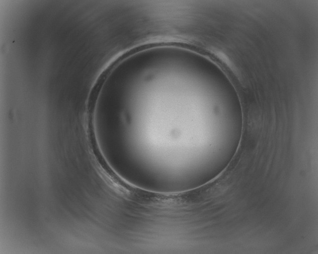 X0000073991460200608211335