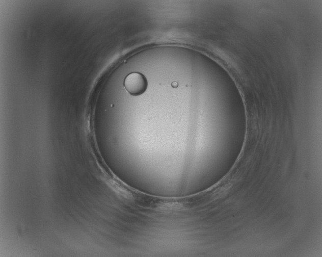 X0000073991462200608211335