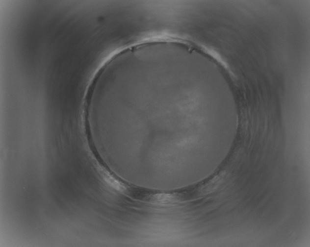 X0000073991463200608211335