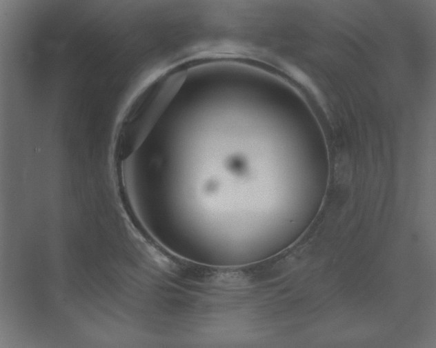 X0000073991464200608211335