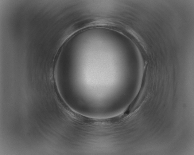 X0000073991465200608211335