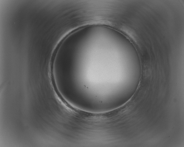 X0000073991468200608211335