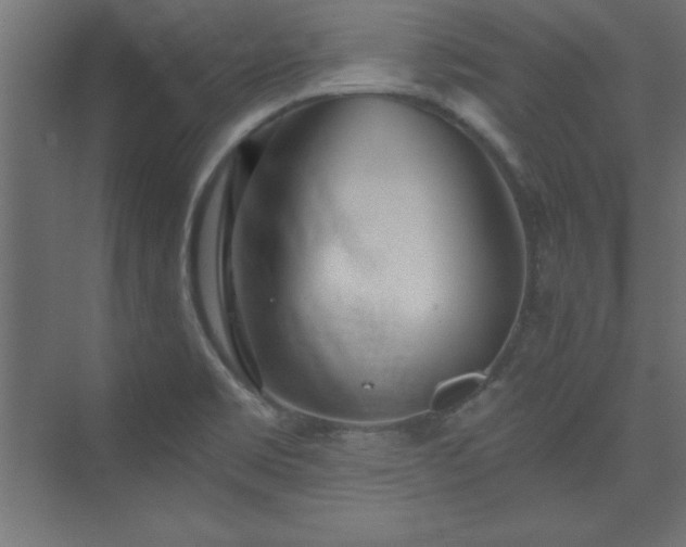 X0000073991469200608211335