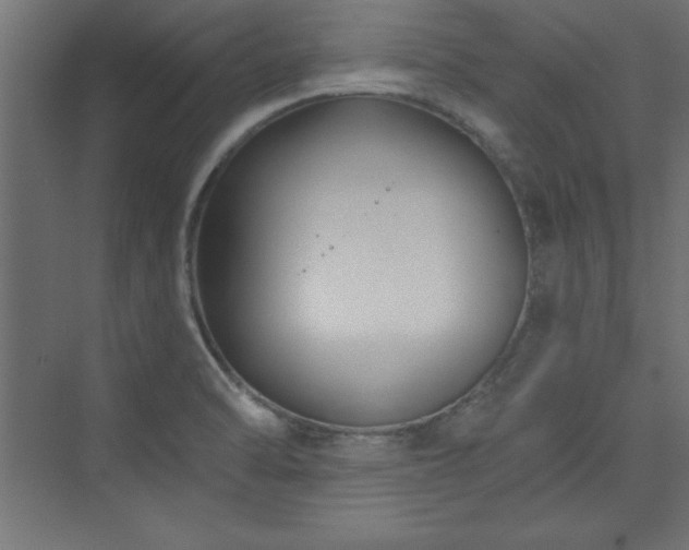 X0000073991470200608211335