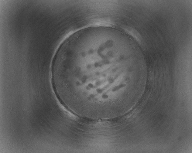 X0000073991471200608211335