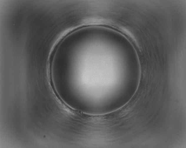 X0000073991472200608211335