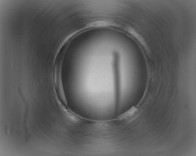 X0000073991473200608211335