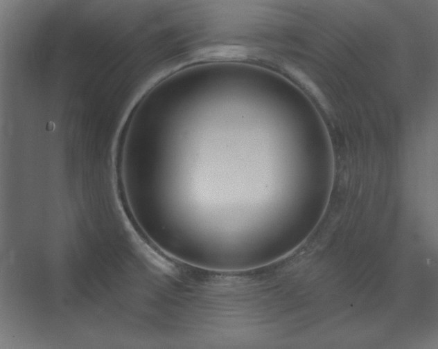 X0000073991475200608211335