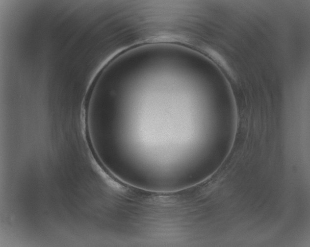 X0000073991476200608211335