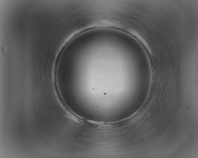 X0000073991477200608211335