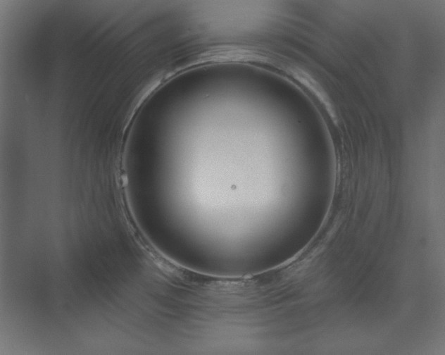 X0000073991481200608211335