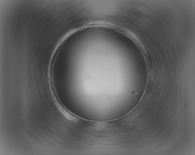 X0000073991482200608211335