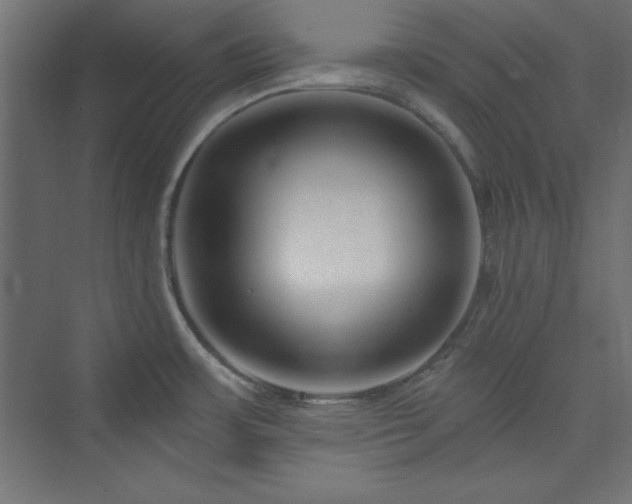 X0000073991483200608211335