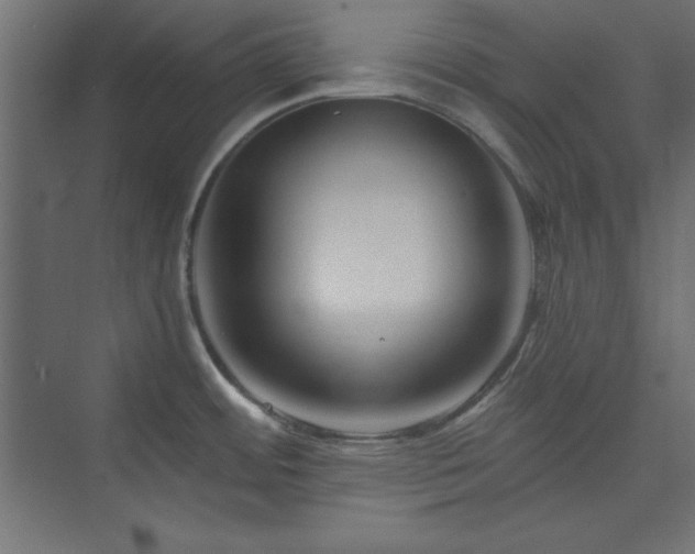 X0000073991484200608211335