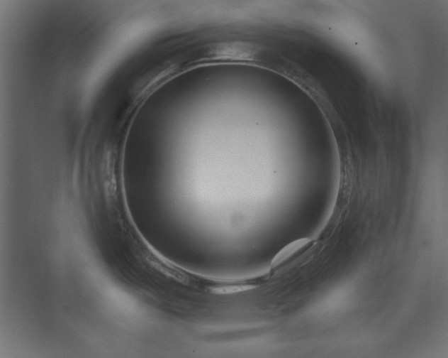 X0000073991487200608211335