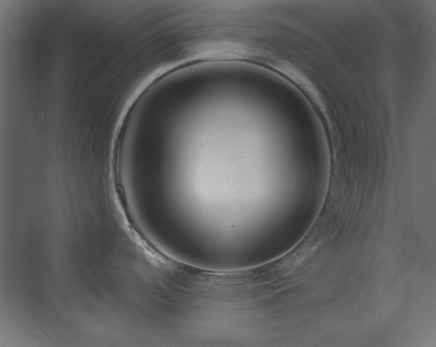 X0000073991488200608211335