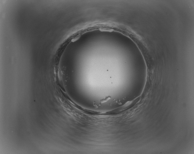 X0000073991496200608211334