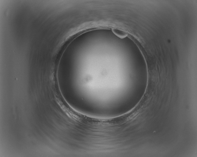 X0000073991499200608211334