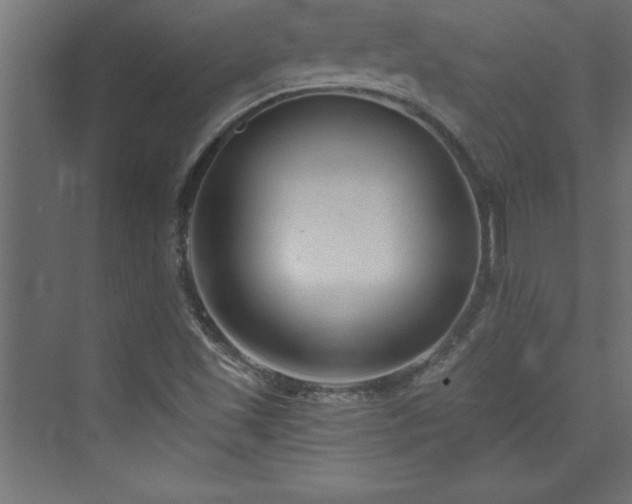 X0000073991501200608211334