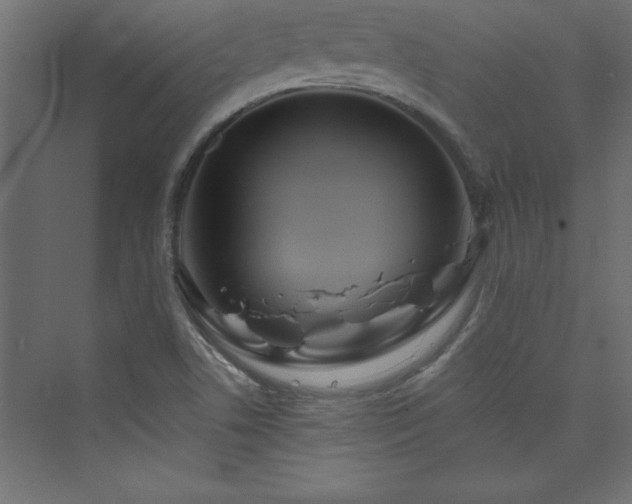 X0000073991506200608211334