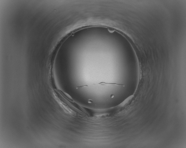 X0000073991507200608211334