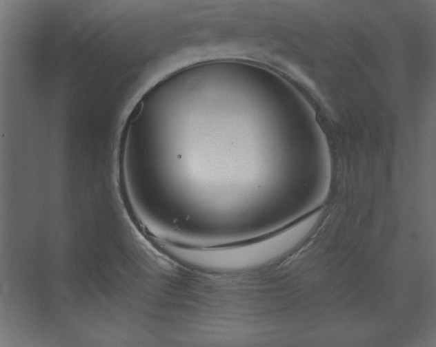 X0000073991512200608211334