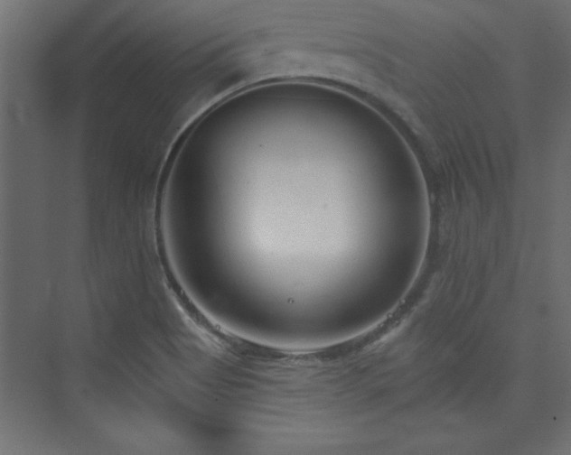 X0000073991513200608211334