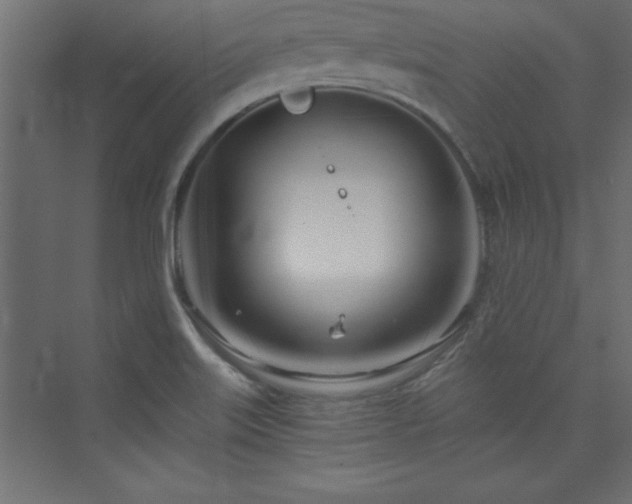 X0000073991515200608211334