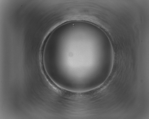 X0000073991517200608211334