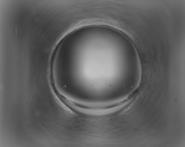 X0000073991518200608211335