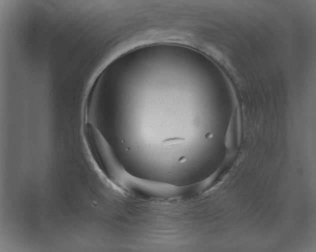 X0000073991520200608211335