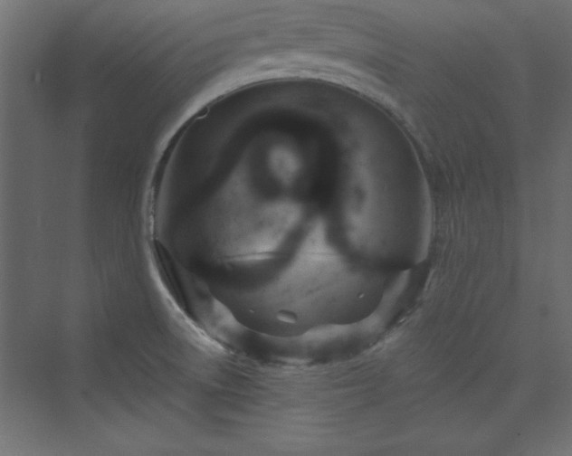 X0000073991522200608211335